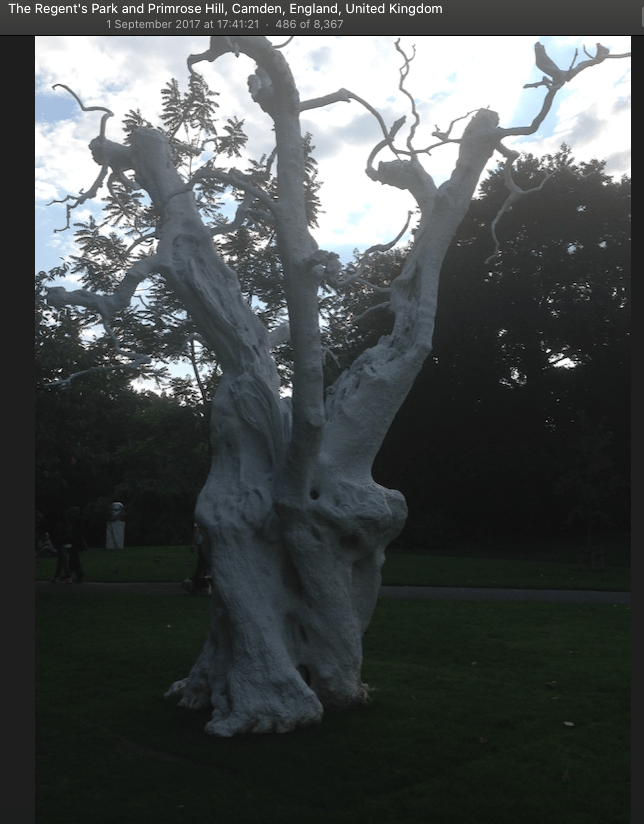 This image has an empty alt attribute; its file name is image-13.png